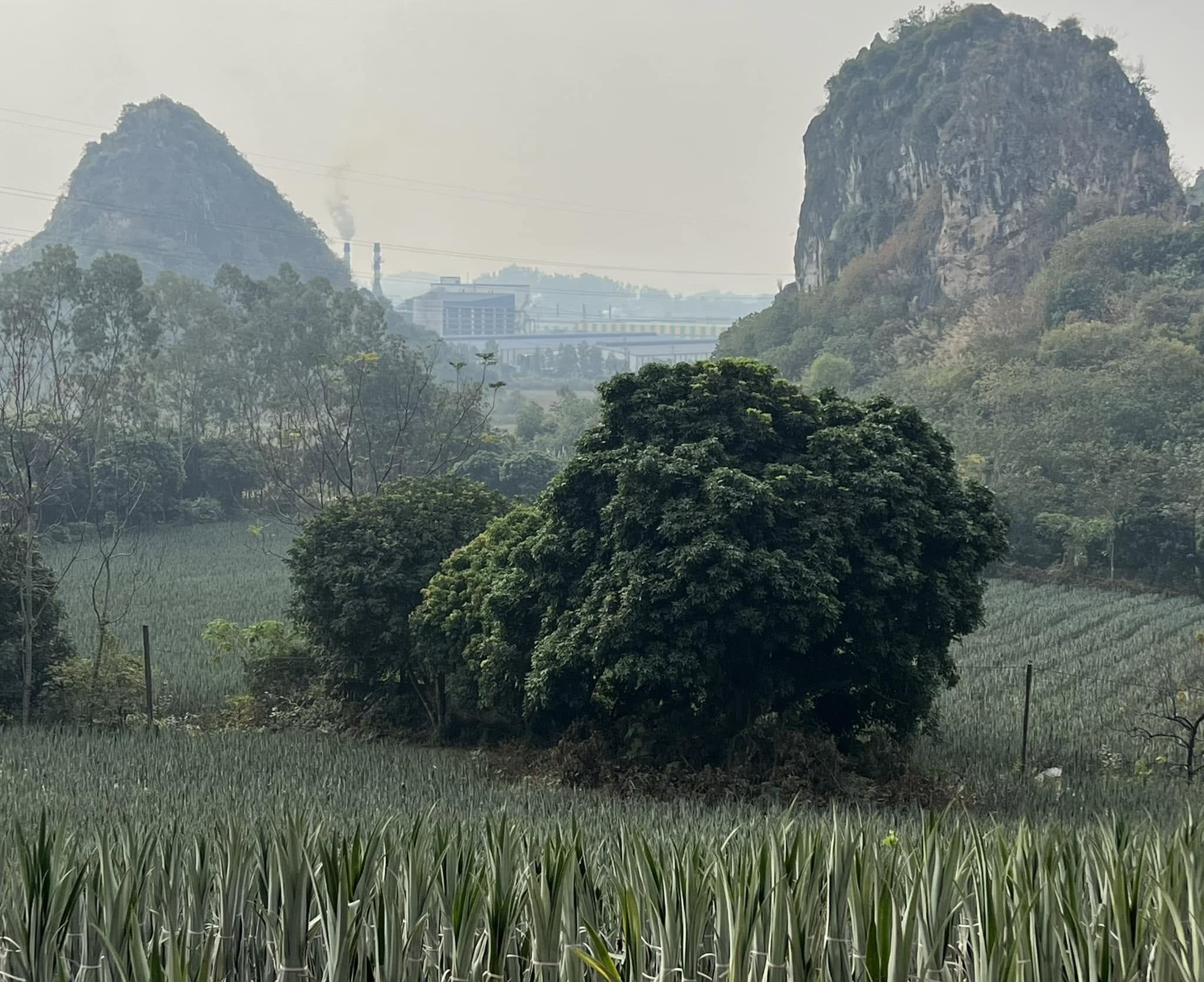 Fields and distant hills